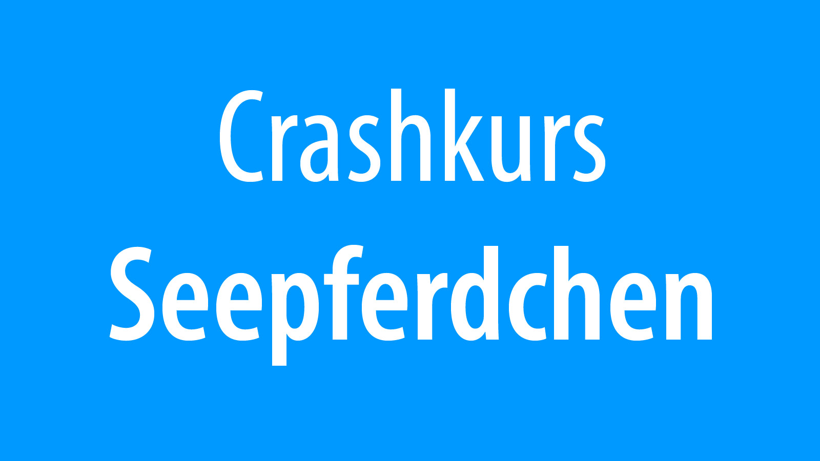 Schriftzug "Crashkurs Seepferdchen" auf blauem Hintergrund